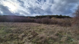 ����� ������� ������,���� �����, �. ����������