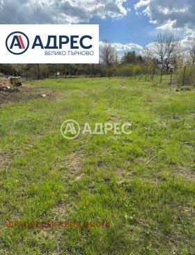 ����� ������� ������,�. ����� ���, ������ ������ �������