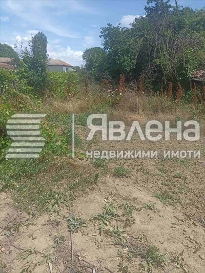 Продава ПАРЦЕЛ, с. Мало Конаре, област Пазарджик, снимка 5 - Парцели - 55450887