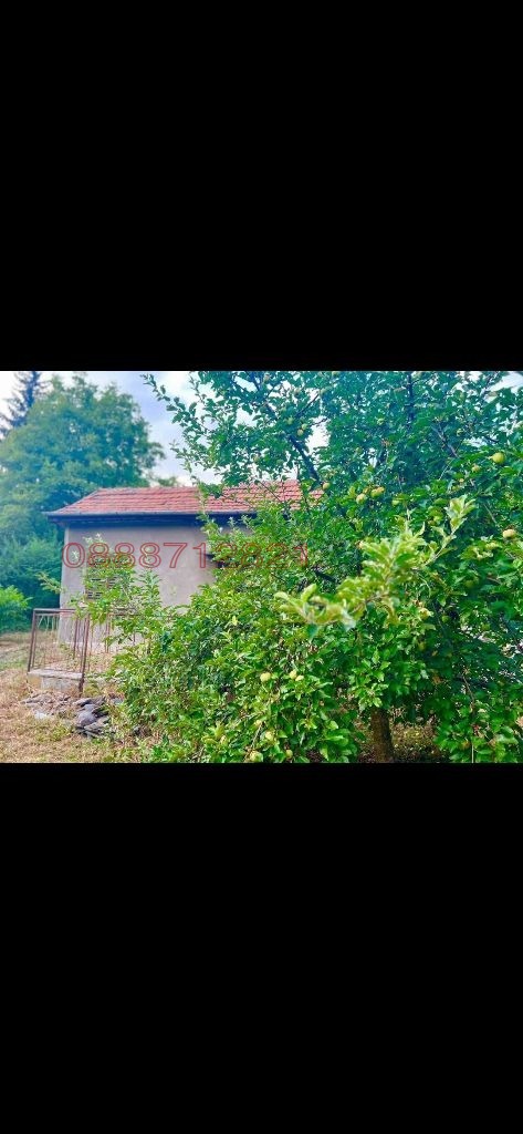 Продава КЪЩА, с. Томпсън, област София област, снимка 8 - Къщи - 53147401