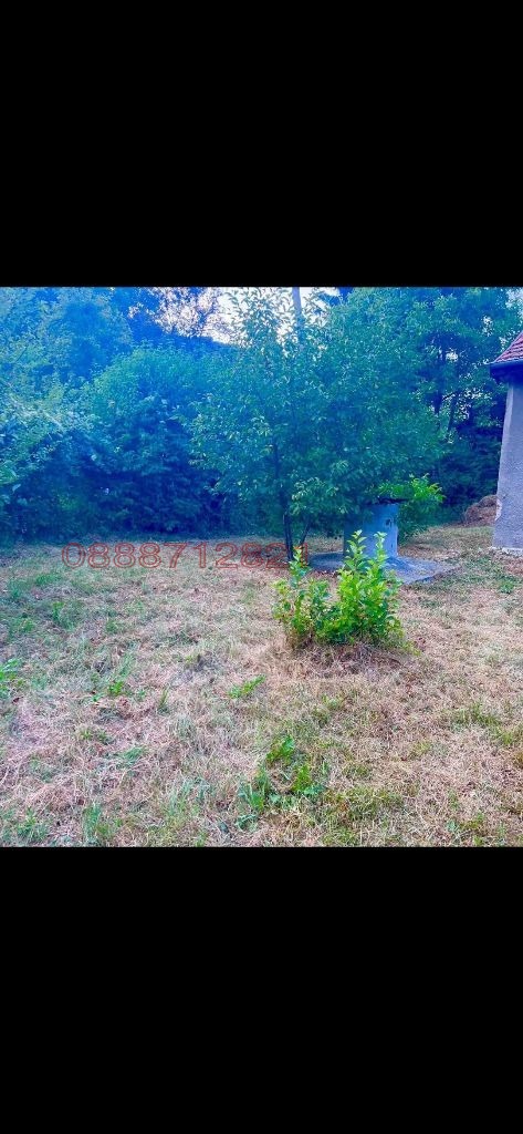 Продава КЪЩА, с. Томпсън, област София област, снимка 5 - Къщи - 53147401