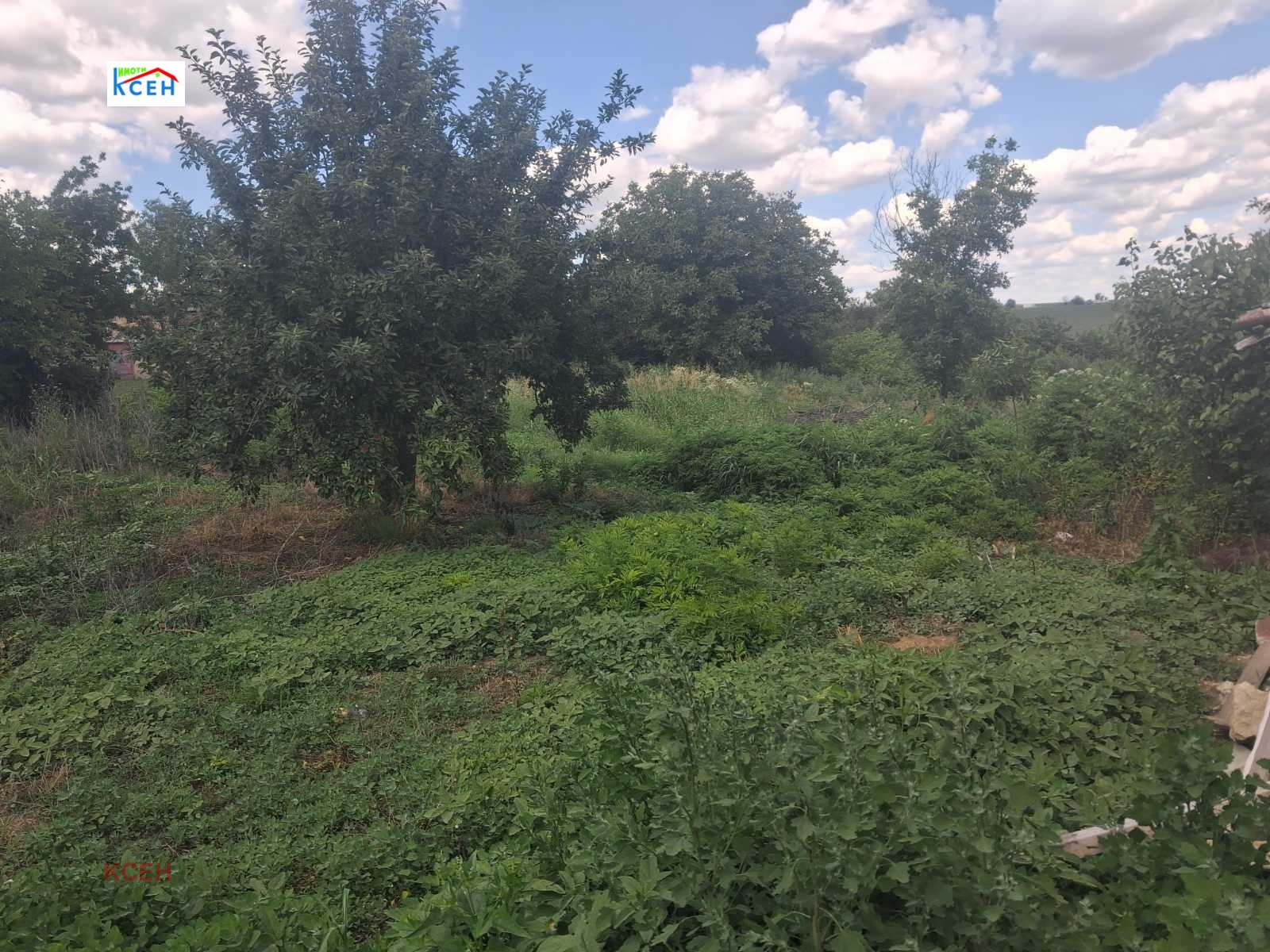 Продава ПАРЦЕЛ, с. Давидово, област Търговище, снимка 2 - Парцели - 54994003