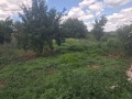 Продава ПАРЦЕЛ, с. Давидово, област Търговище, снимка 2