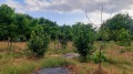 Продава КЪЩА, област Добрич, с. Дъбовик • 62000 лв. • 18655069 — Holmes.bg