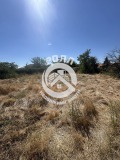 Продава  Къща област Пловдив , гр. Брезово , 50 кв.м | 99501464 - изображение [13]