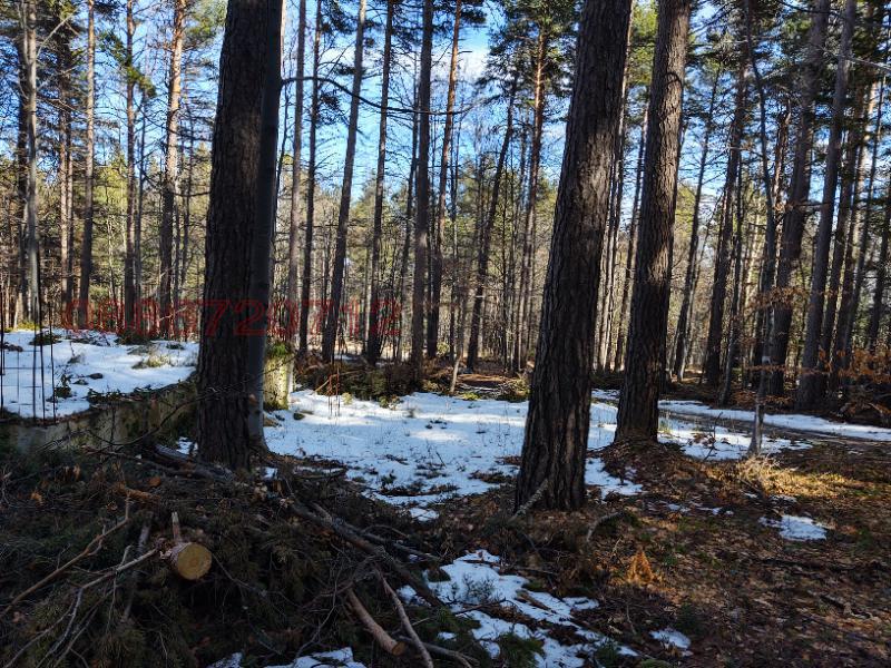 ������� ������ | Imot.bg � ����������� 5