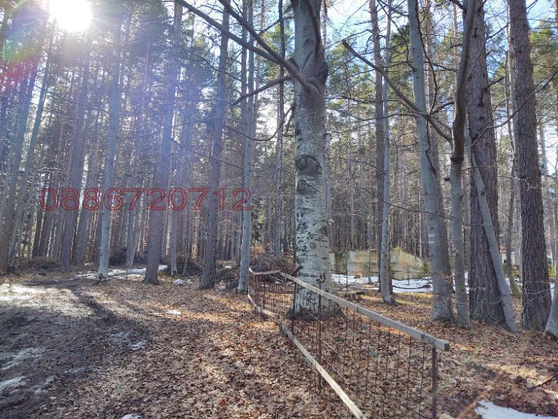 ������� ������ | Imot.bg � ����������� 2