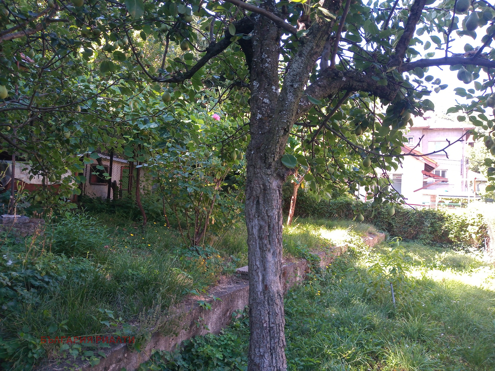 ������� ���� �� ���� | Imot.bg � ����������� 15