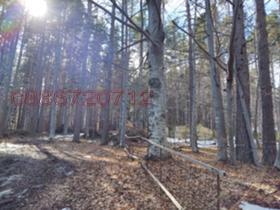 ������� ������ | Imot.bg � ����� ������ 2