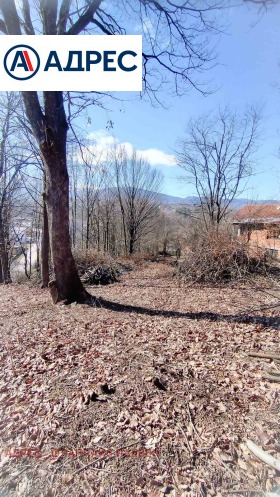 ������� ������ | Imot.bg � ����� ������ 2