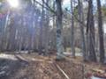 Продава  Парцел област Пловдив , хижа Здравец , 1200 кв.м | 18896435 - изображение [2]