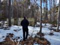 Продава  Парцел област Пловдив , хижа Здравец , 1200 кв.м | 18896435 - изображение [7]