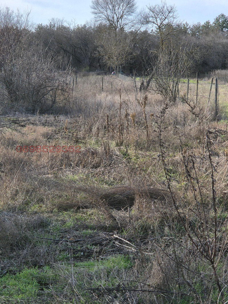 Продава ВИЛА, гр. Добрич, м-т Газибаба, снимка 11 - Вили - 53559608