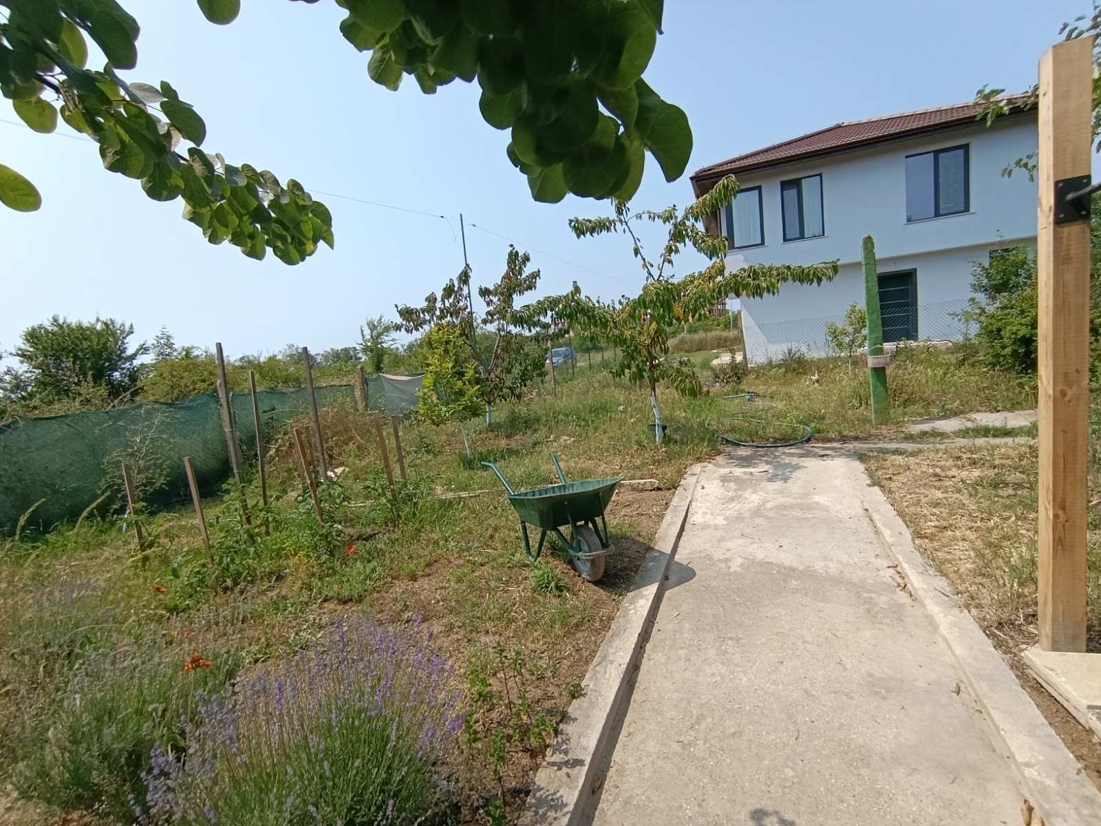 ������� ���� | Imot.bg � ����������� 3