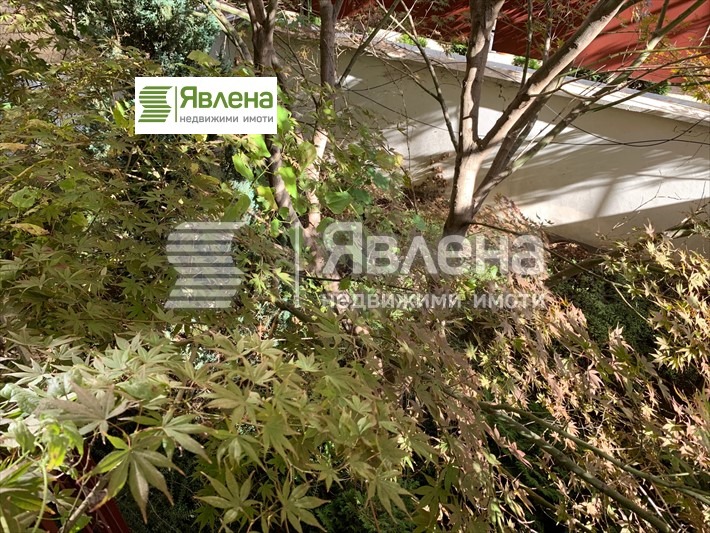 À vendre  Bureau Sofia , Lozenets , 545 m² | 98487879 - image [14]