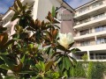 Продава 3-СТАЕН, град Шумен, Център • 239000 € / 467443.37 лв. • 29104632 16