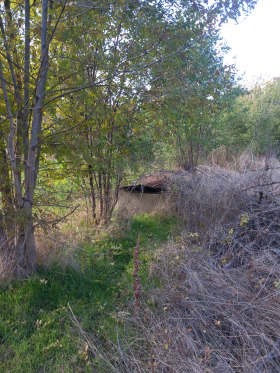 ������� ���� | Imot.bg � ����� ������ 5