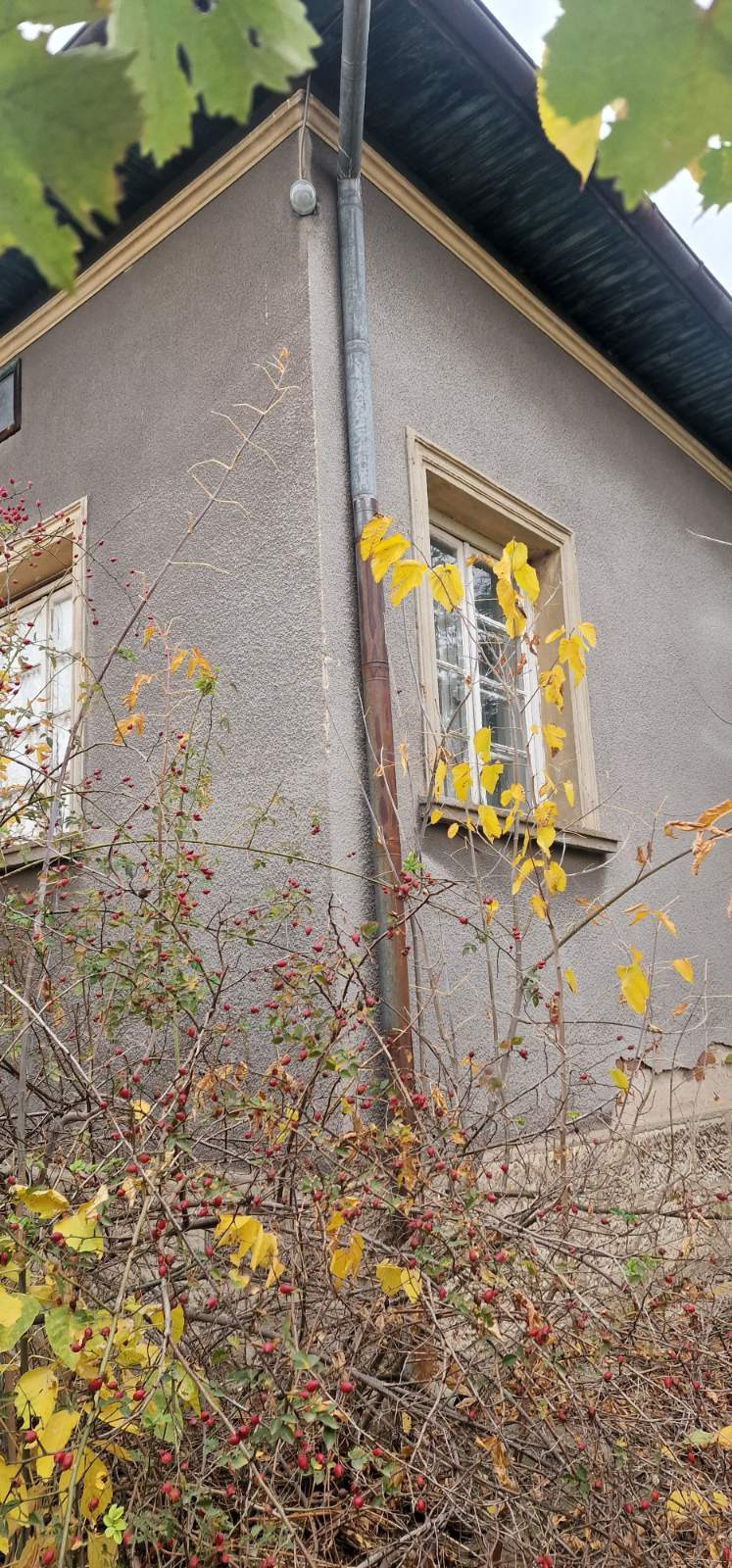 For Sale  House region Pleven , Gulyantsi , 200 sq.m | 21409725 - image [2]