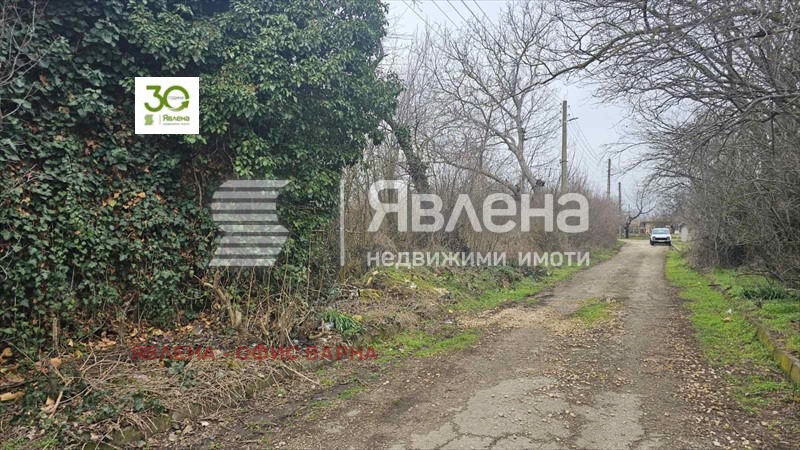 Продава КЪЩА, с. Николаевка, област Варна, снимка 6 - Къщи - 54372511