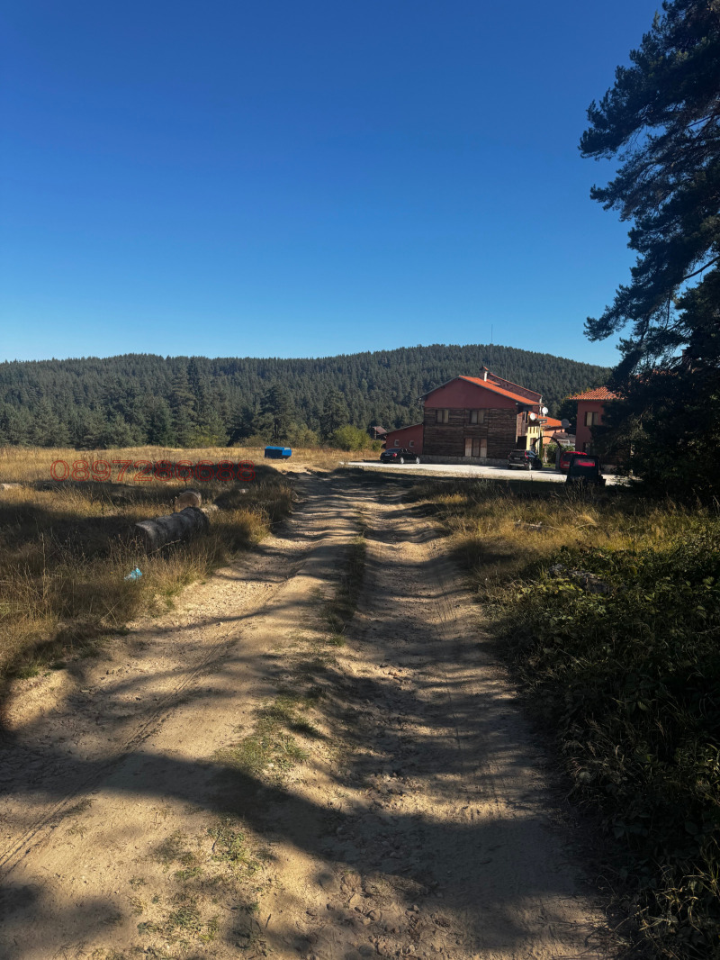 Продава ПАРЦЕЛ, м-т Цигов чарк, област Пазарджик, снимка 4 - Парцели - 52771074