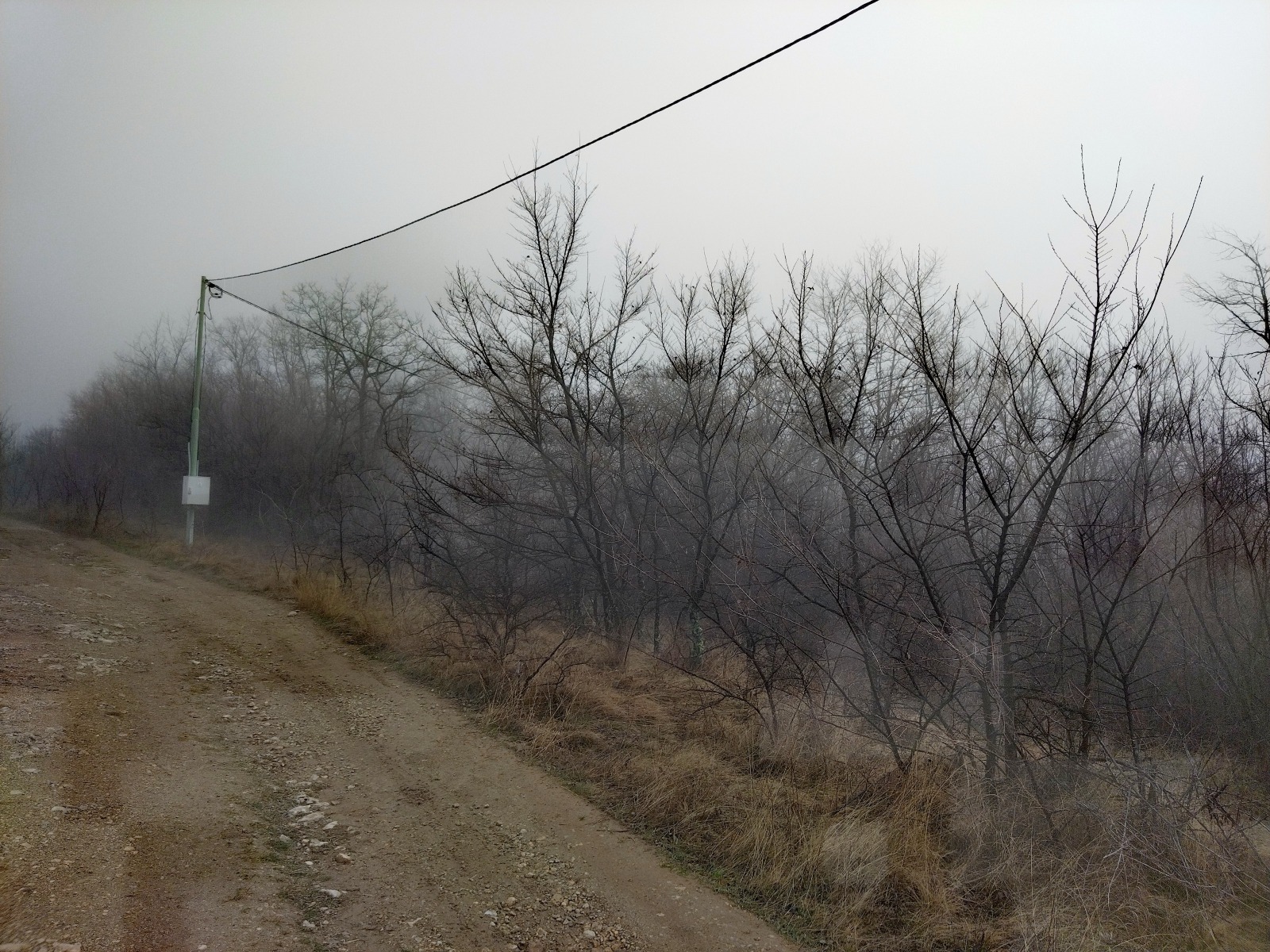 Продава ПАРЦЕЛ, с. Старо село, област Перник, снимка 3 - Парцели - 53673284