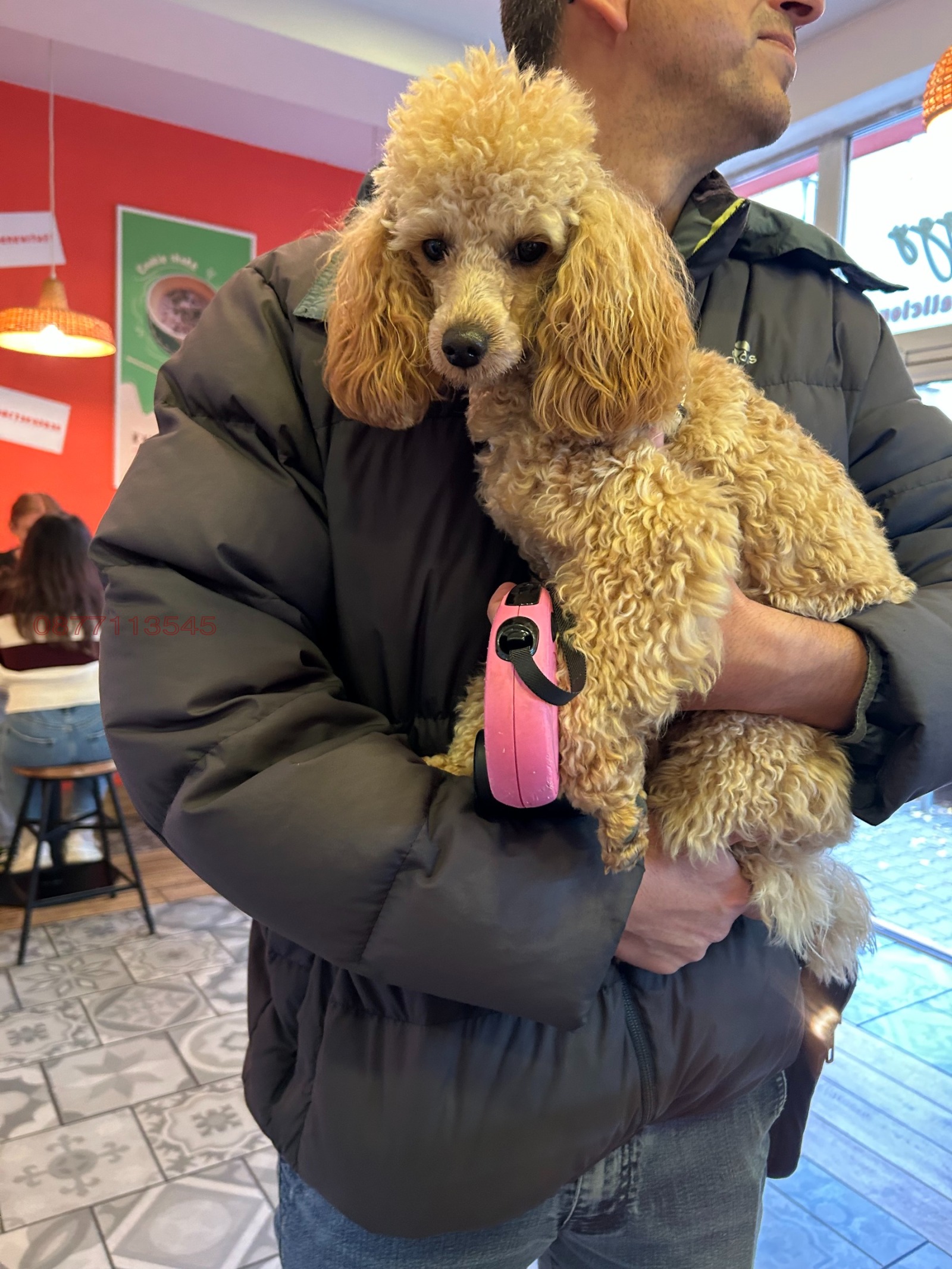 Продава ЗАВЕДЕНИЕ, гр. София, Център, снимка 7 - Заведения - 53781118