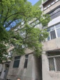 Продава 3-СТАЕН, гр. Варна, Център, снимка 14