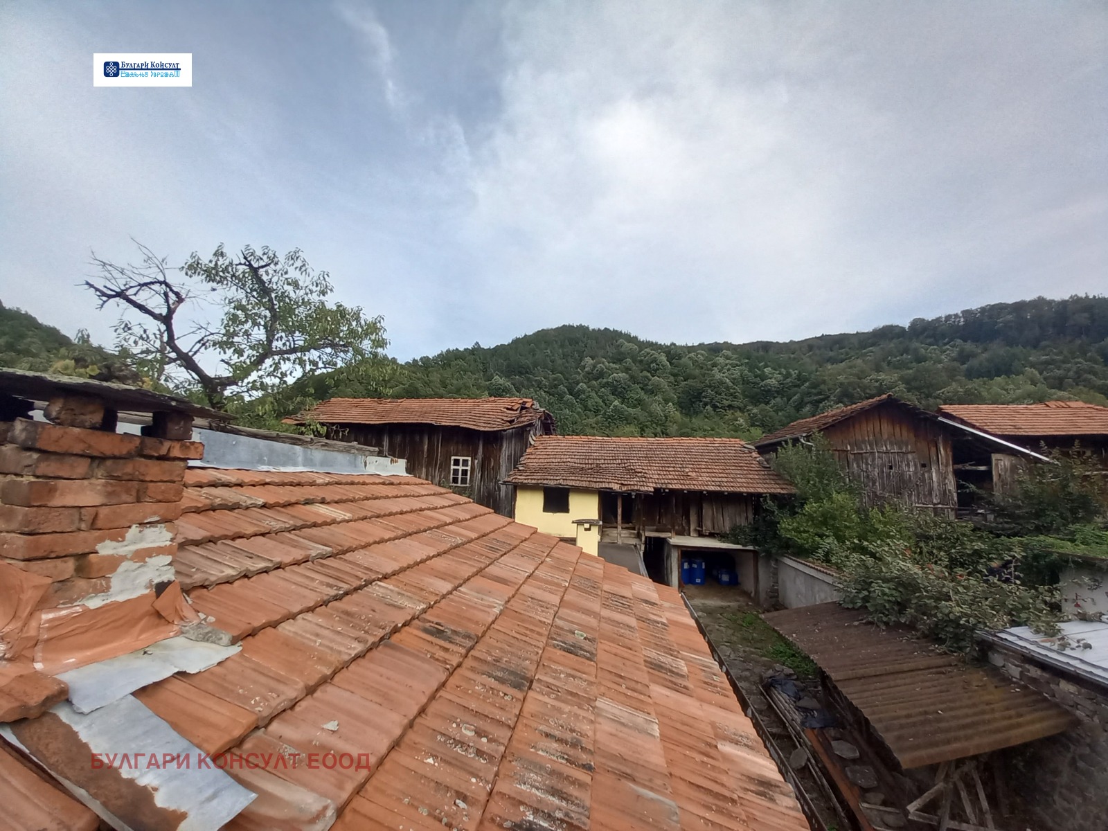 ������� ���� | Imot.bg � ����������� 17