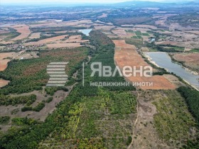 Парцел с. Царева поляна, област Хасково 2