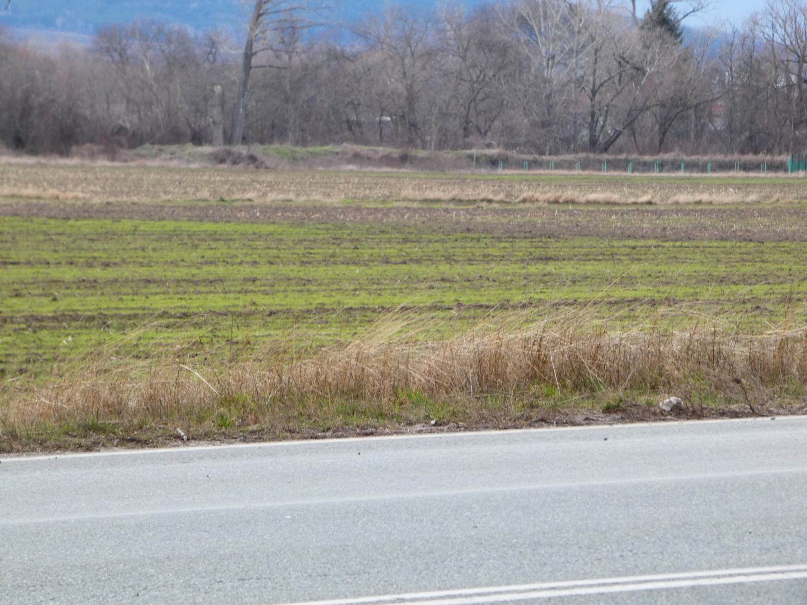 Продава ПАРЦЕЛ, гр. Драгоман, област София област