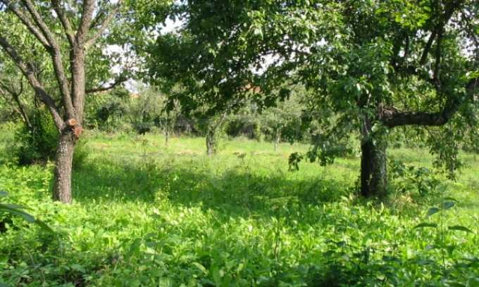 ������� ������ | Imot.bg � ����������� 5