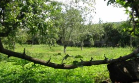 ������� ������ | Imot.bg � ����� ������ 6