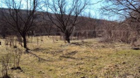 ������� ������ | Imot.bg � ����� ������ 8