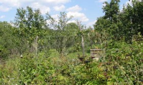 ������� ������ | Imot.bg � ����� ������ 3