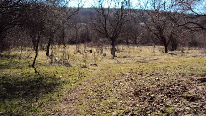 Продава ПАРЦЕЛ, с. Добромирка, област Габрово, снимка 7 - Парцели - 52849806