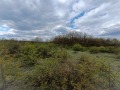Продава ПАРЦЕЛ, област Варна, с. Осеново • 17777 € • 21271677 — Holmes.bg