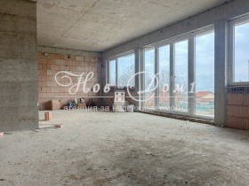 ����� ������� ����,���� �����, ������