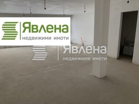 ����� ������� �������,���� �����, ������ ����