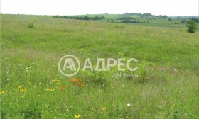 Plot Industrialna zona - Sever, Plovdiv 1