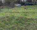 Продава ПАРЦЕЛ, с. Климентово, област Варна, снимка 2