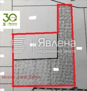 ������ ������� ������