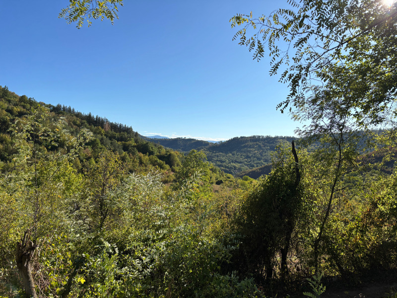 Προς πώληση  σπίτι περιοχή Lovech , Γολιαμ ηζβορ , 180 τ.μ | 67979128 - εικόνα [14]