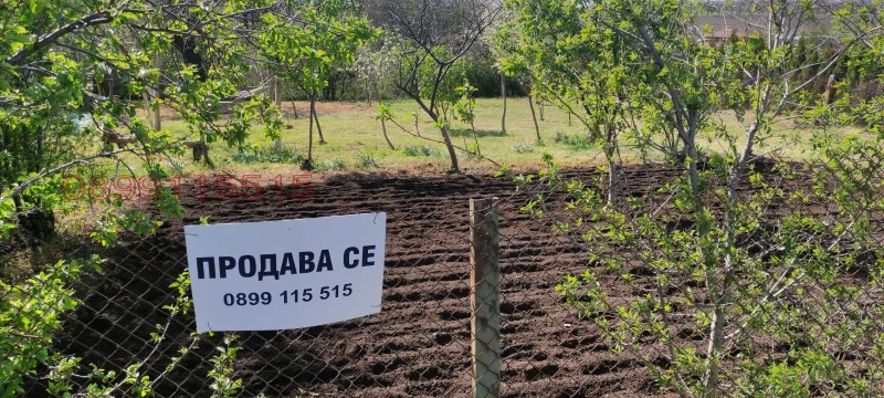 Продава ПАРЦЕЛ, с. Бранище, област Добрич, снимка 3 - Парцели - 52782013