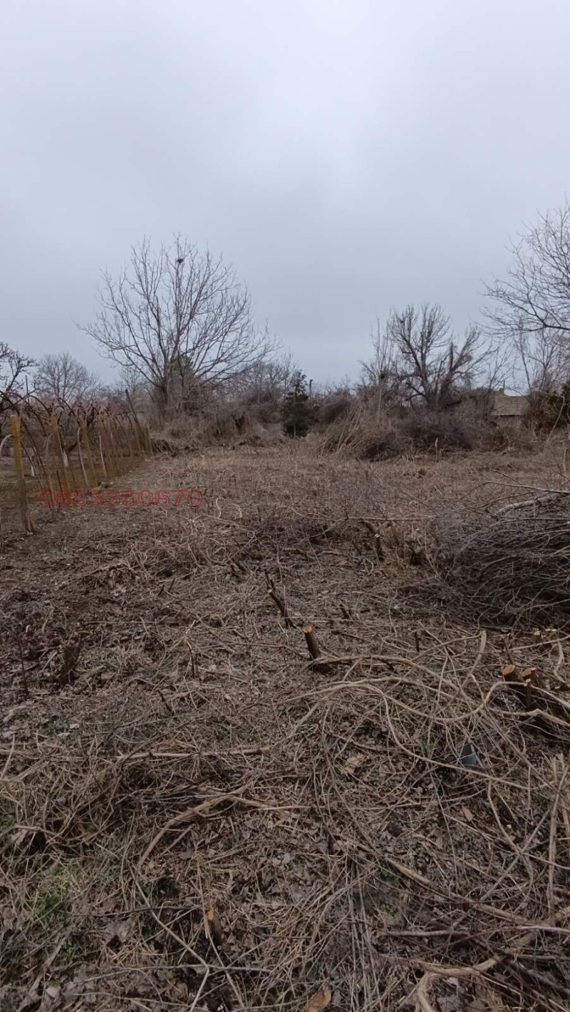 Продава ПАРЦЕЛ, с. Козаревец, област Велико Търново, снимка 3 - Парцели - 52779658