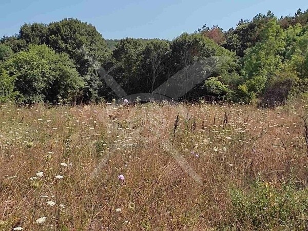 Na prodej  Spiknutí oblast Burgas , Indže vojvoda , 12000 m2 | 69786892