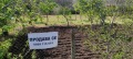 Продава ПАРЦЕЛ, с. Бранище, област Добрич, снимка 3
