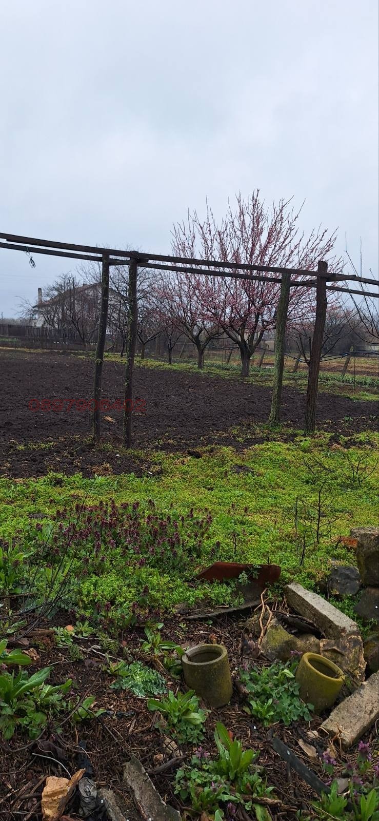 ������� ������ | Imot.bg � ����������� 7