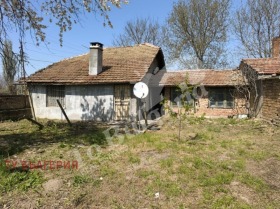 ������ ������� ����