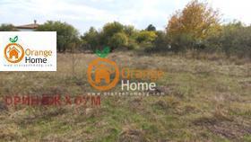 Сюжет Генерал Кантарджиево, область Варна 8