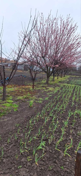 ������� ������ | Imot.bg � ����� ������ 8